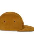 Brown Bear - 5 panel