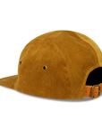 Brown Bear - 5 panel