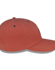 Cheeky Salmon - 6 panel dad hat