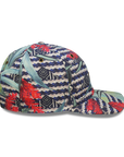 BRAVA 6 panel dad hat