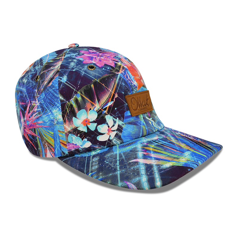 Extática 6 panel dad hat