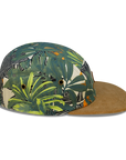 Explorar 5 PANEL