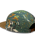 Explorar 5 PANEL