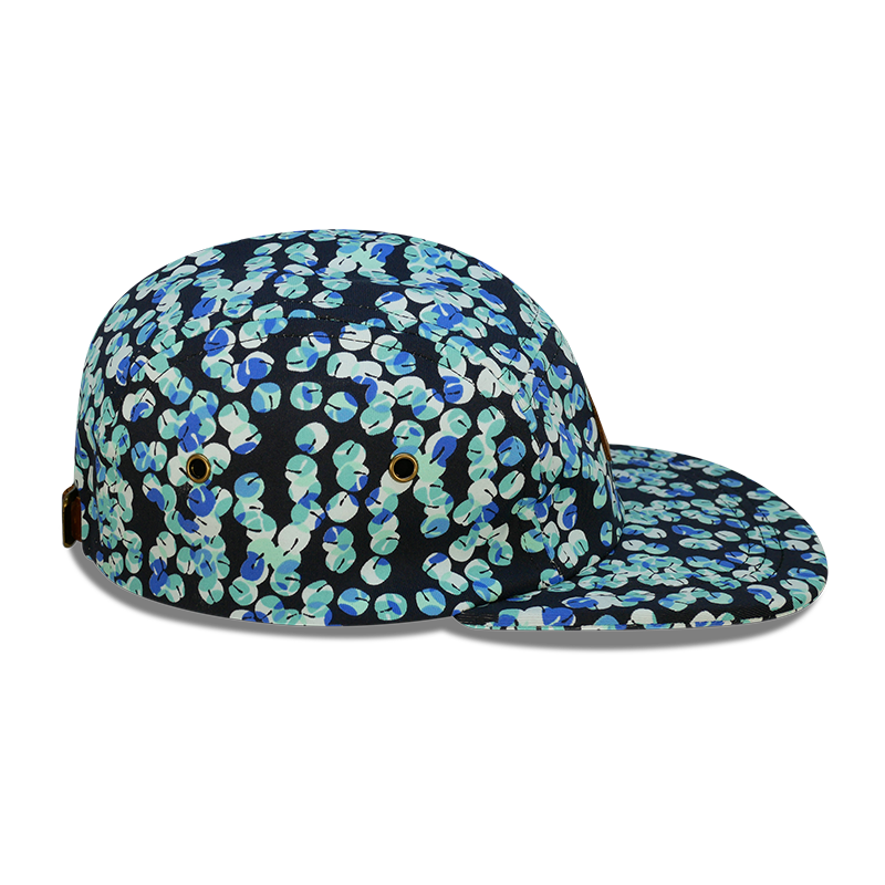 Descolada 5 PANEL