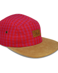 red gingham 5 PANEL