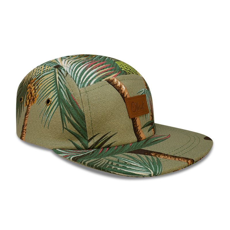 palm springs 5 panel