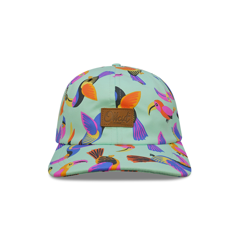 VOAR 6 panel dad hat