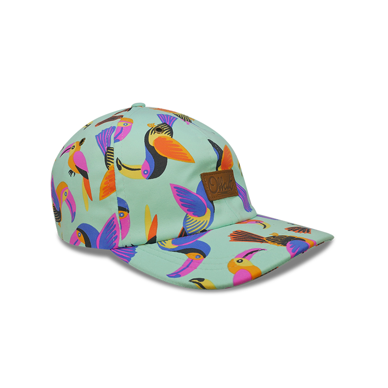 VOAR 6 panel dad hat