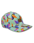 VOAR 6 panel dad hat